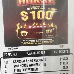 NOVA: Flaming Horse (162ct)