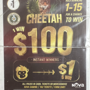 NOVA: Cheetah (162ct)