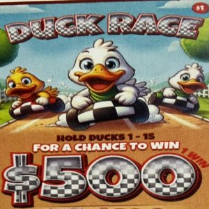 NOVA: DUCK RACE (1890ct)