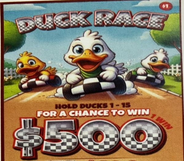 NOVA: DUCK RACE (1890ct)
